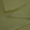 Mango-14-(18.5mtr)(dsc1851)-angle-2