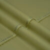 Mango-14-(18.5mtr)(dsc1857)-angle-1